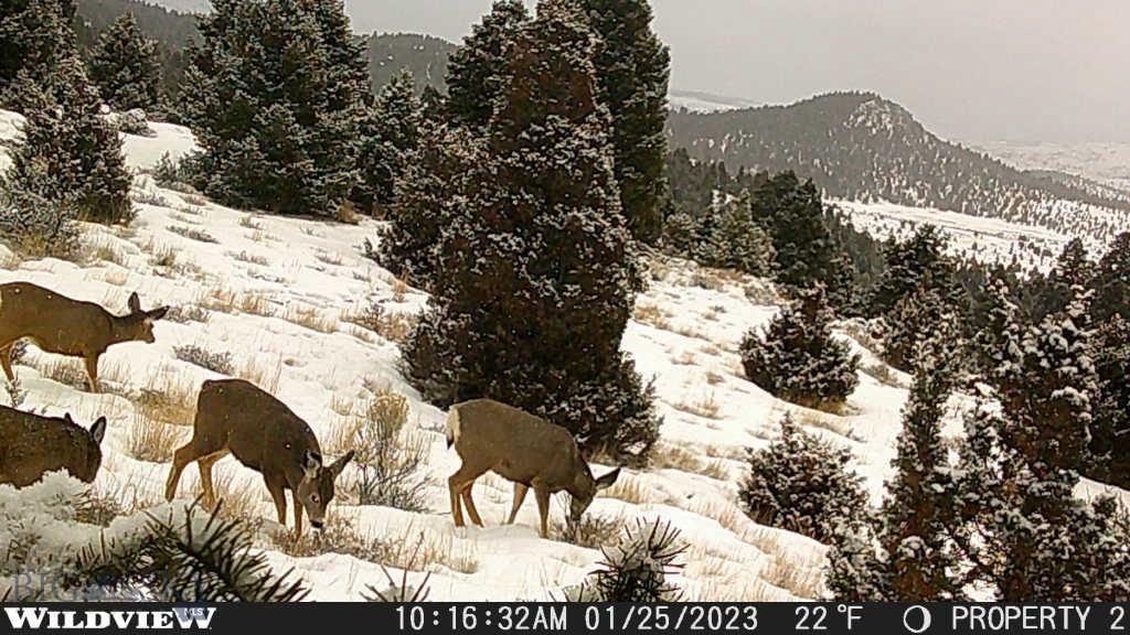 Lot 74 Pony Express Trail Property Photo 1