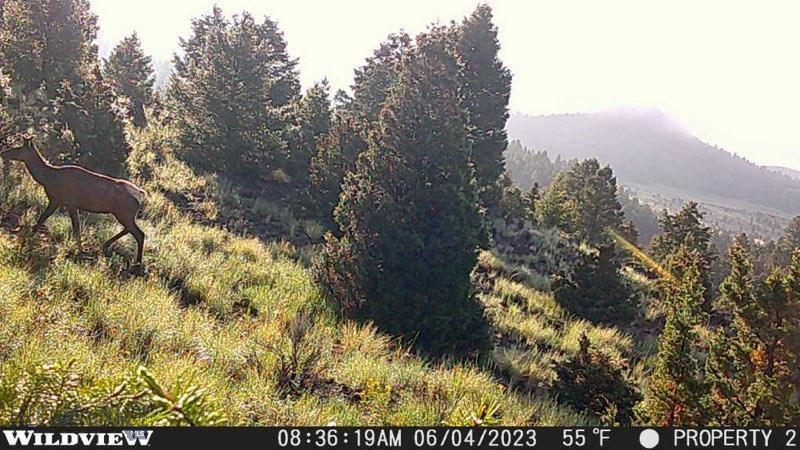 Lot 74 Pony Express Trail Property Photo 5