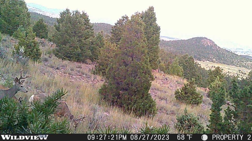 Lot 74 Pony Express Trail Property Photo 6
