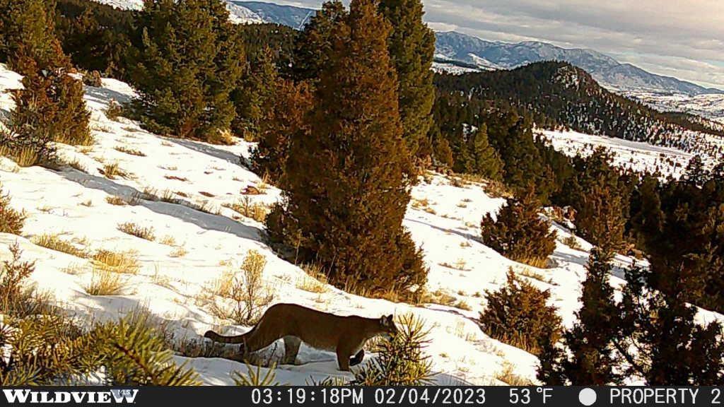 Lot 74 Pony Express Trail Property Photo 7