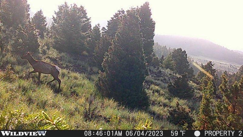 Lot 74 Pony Express Trail Property Photo 8