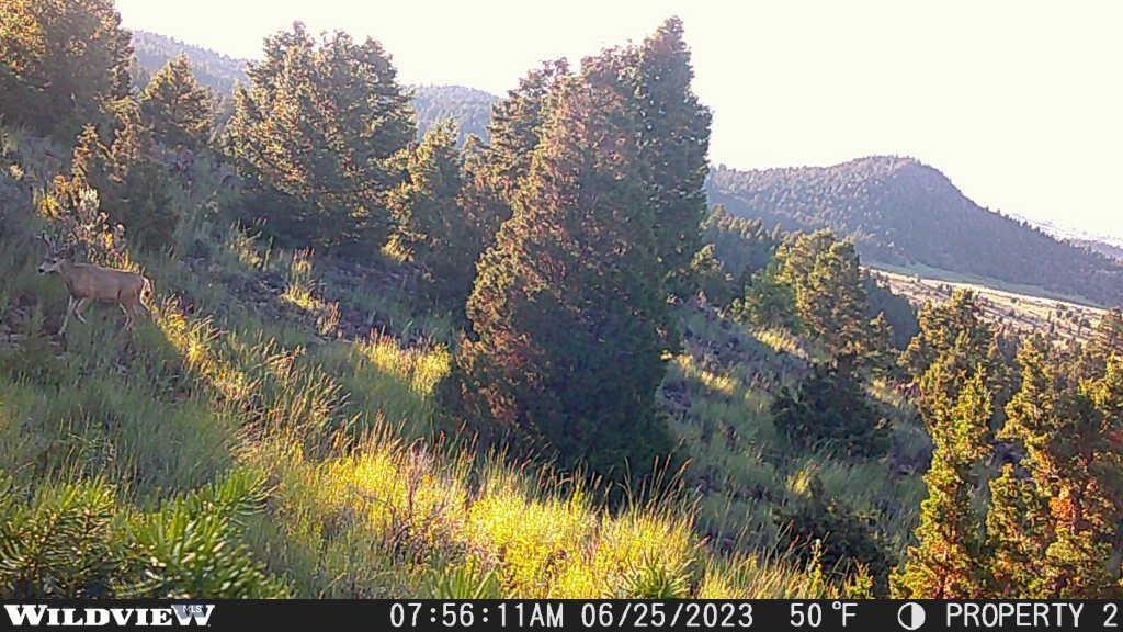 Lot 74 Pony Express Trail Property Photo 10