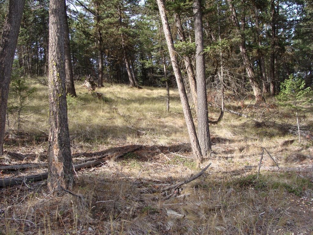 Lot 8 Whispering Pines Subdivision Property Photo