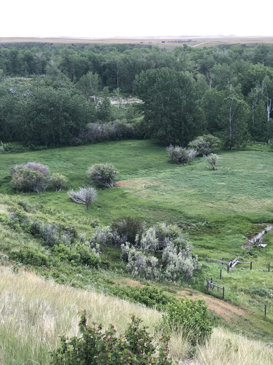 470 Duck Lake Road Property Photo 4