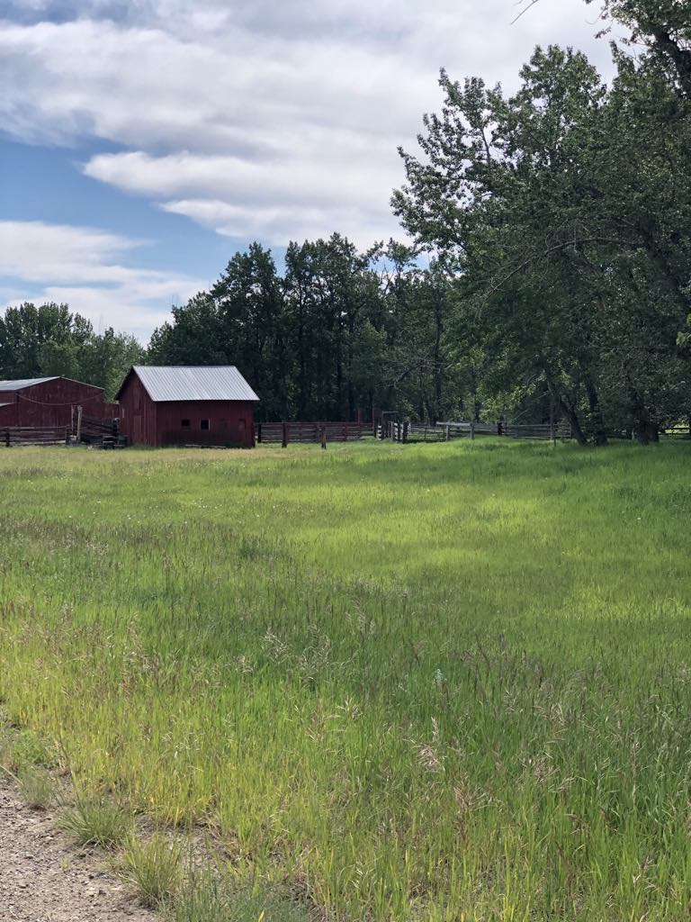 470 Duck Lake Road Property Photo 31