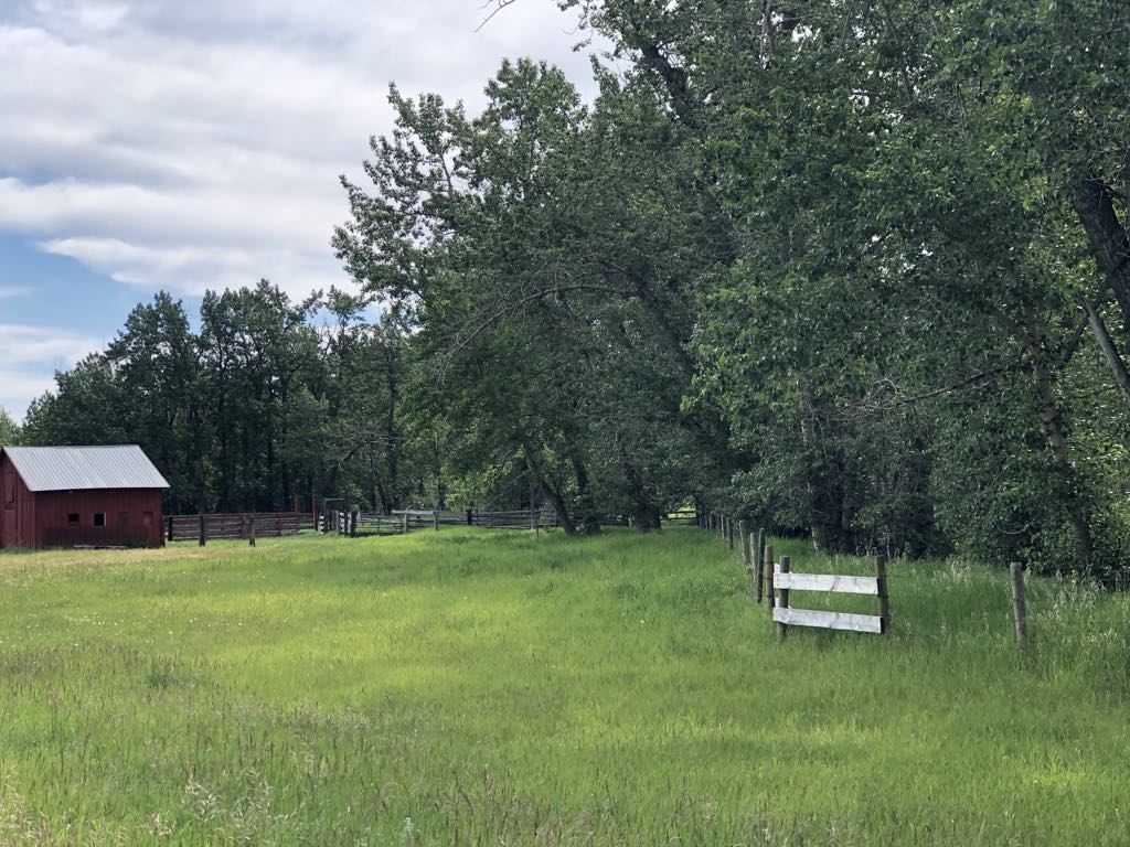 470 Duck Lake Road Property Photo 34