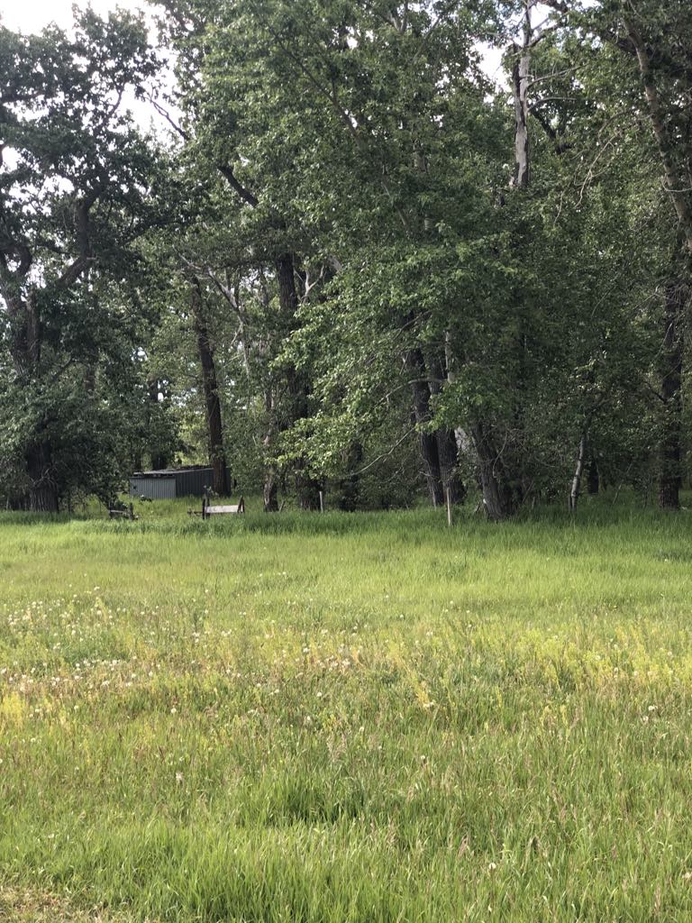 470 Duck Lake Road Property Photo 39