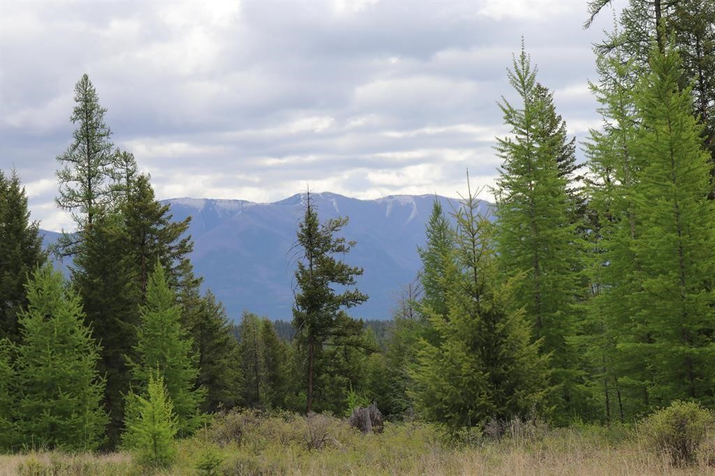 Lot 1a Meadow Springs Property Photo 1