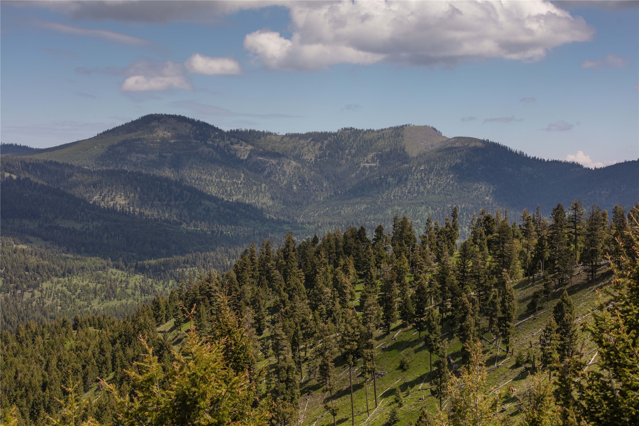 4 Tract, Garnet Range Property Photo 1
