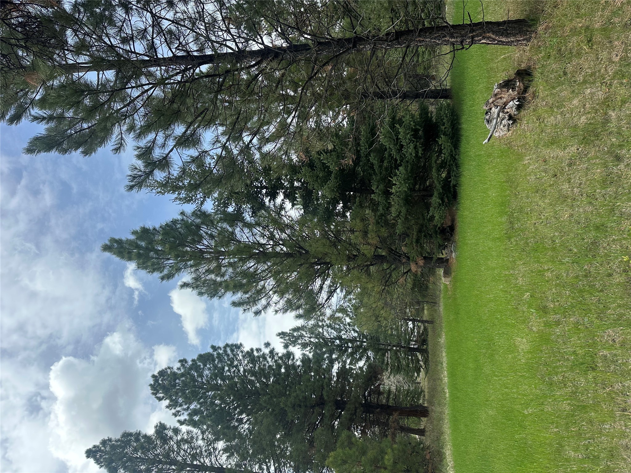 4337 Snowdrift Lane Property Photo 1