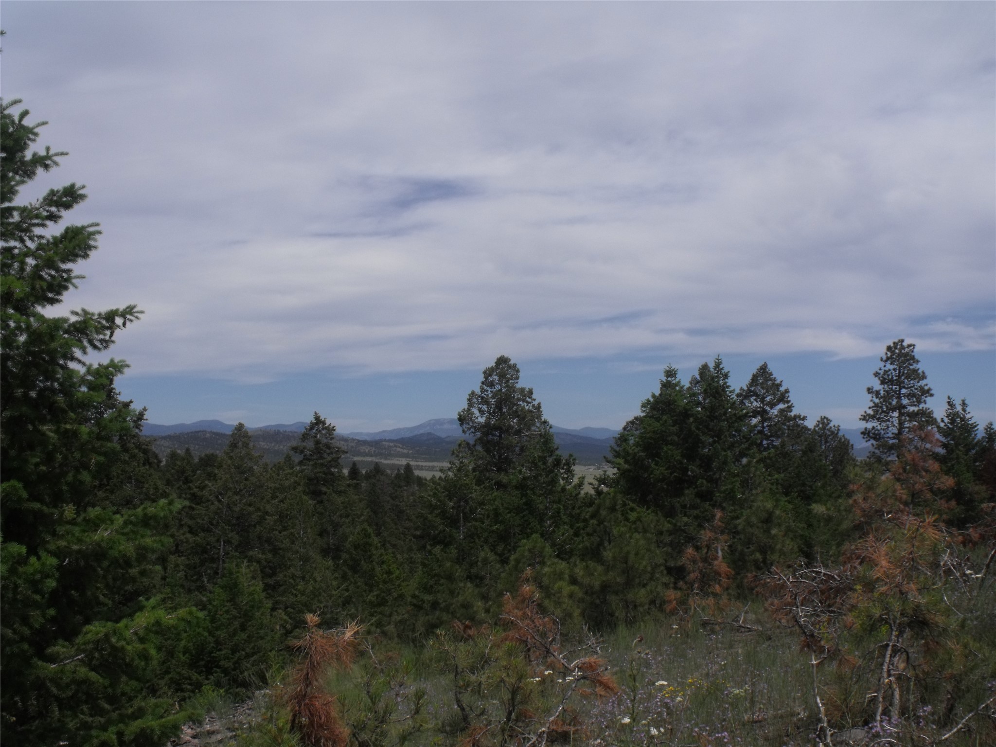 Tbd Hidden Springs Drive Property Photo