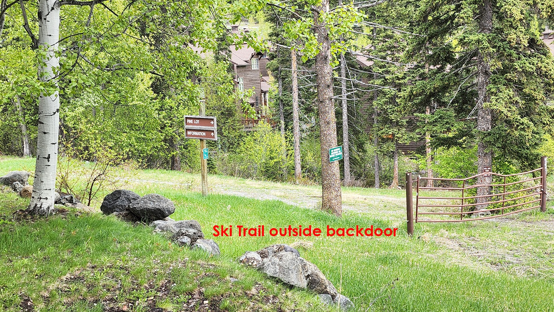 349 Moose Run Drive Property Photo 24
