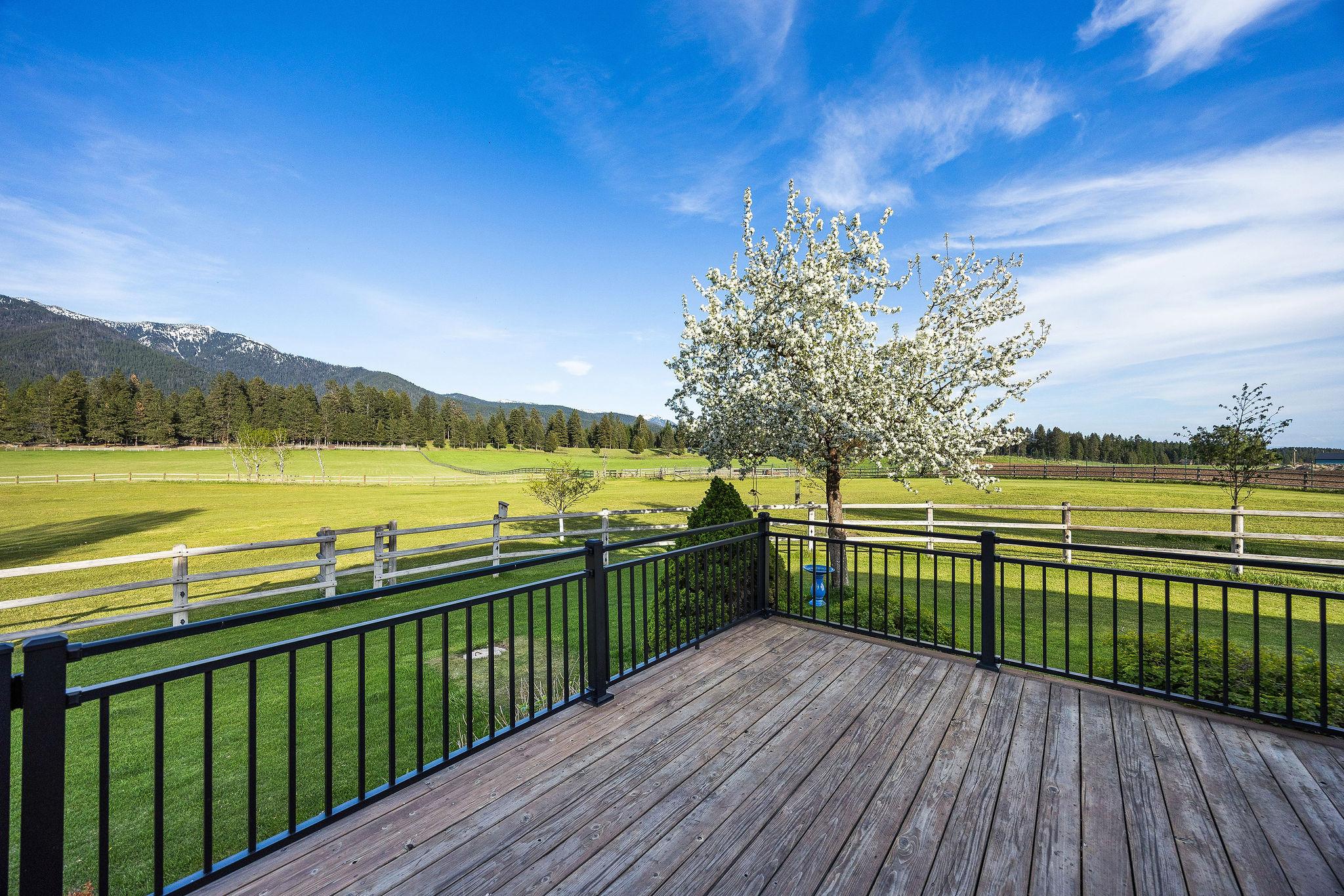 47 Whitetail Meadows Road Property Photo 39