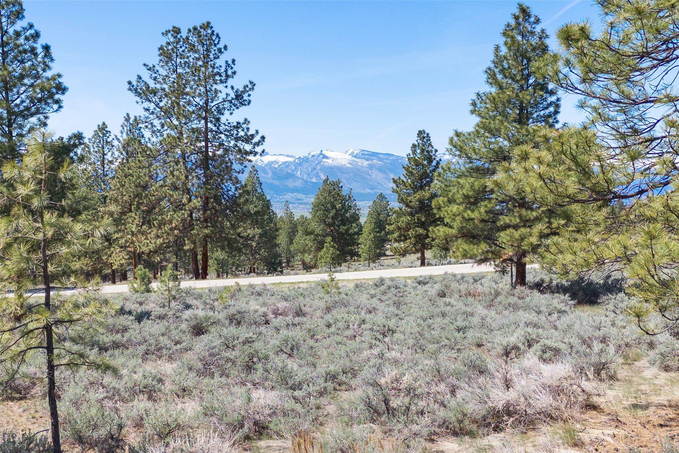 83 Mascot Trail Property Photo 1
