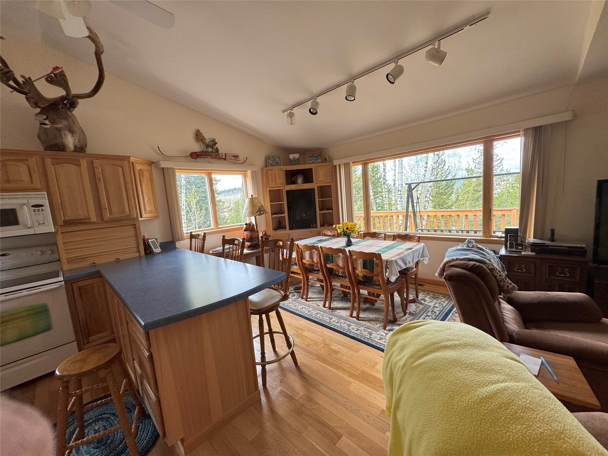 95 Little Moose Creek Trail Property Photo 8