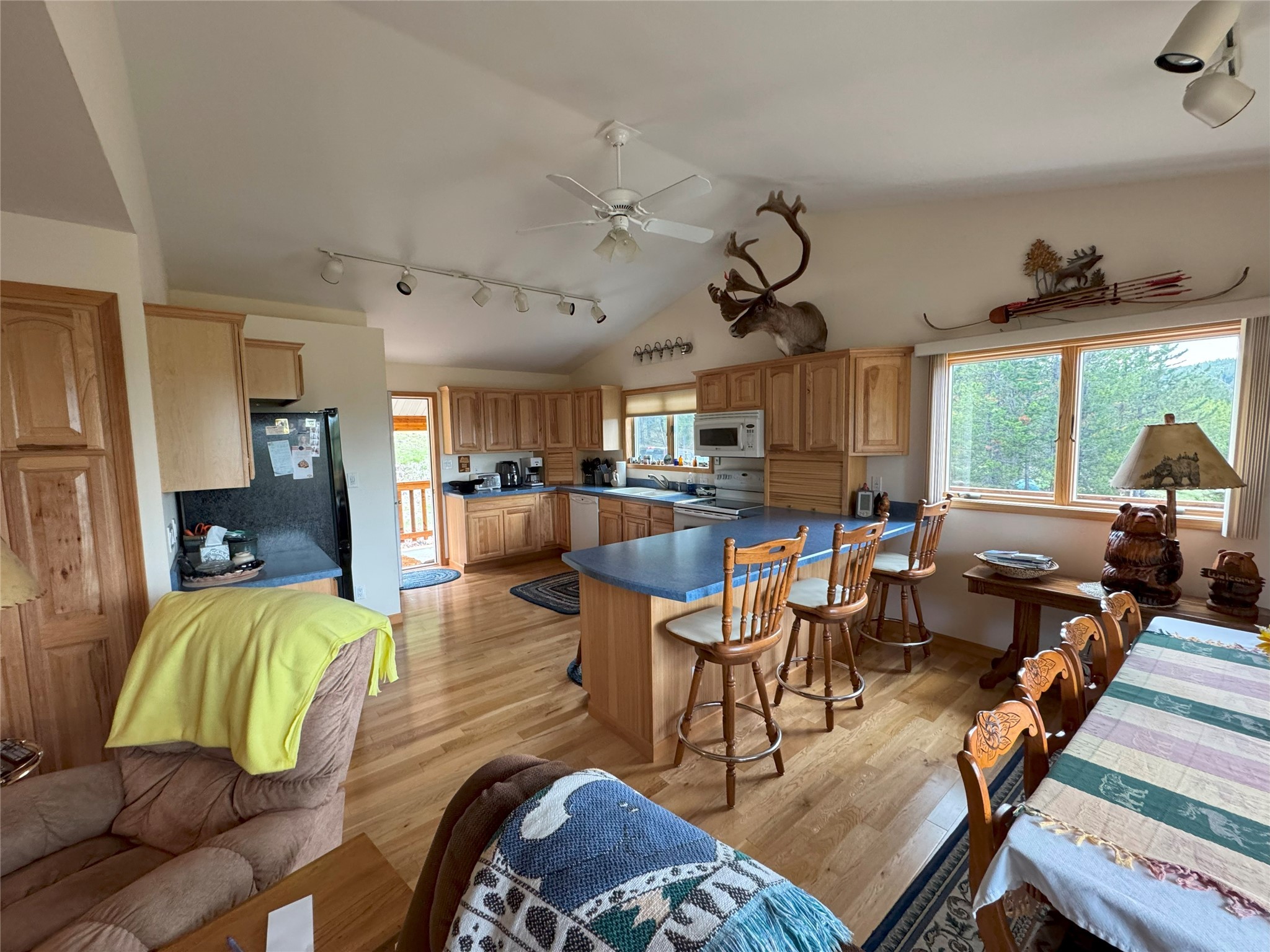 95 Little Moose Creek Trail Property Photo 14