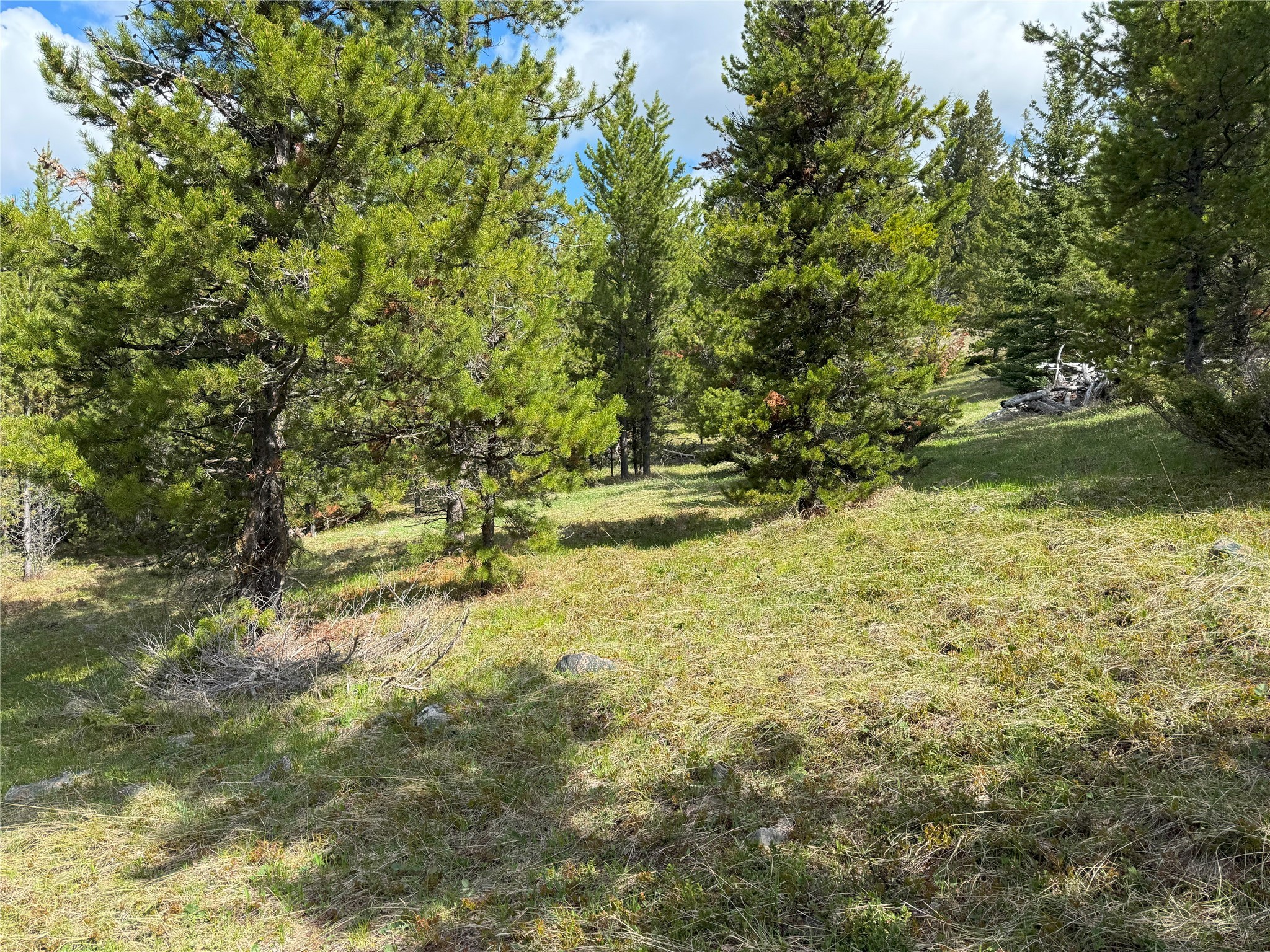 95 Little Moose Creek Trail Property Photo 21