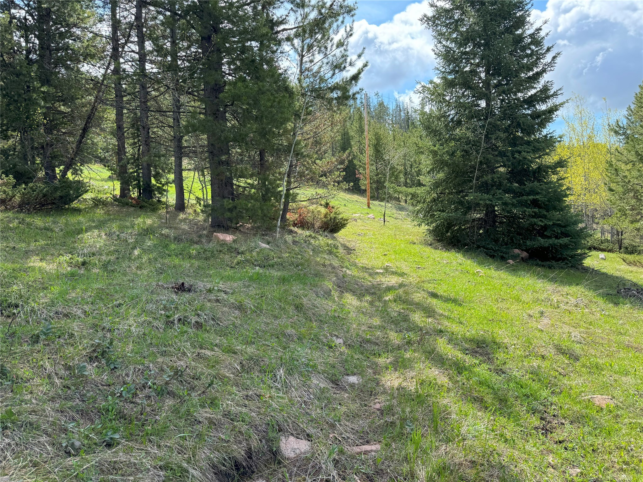 95 Little Moose Creek Trail Property Photo 22