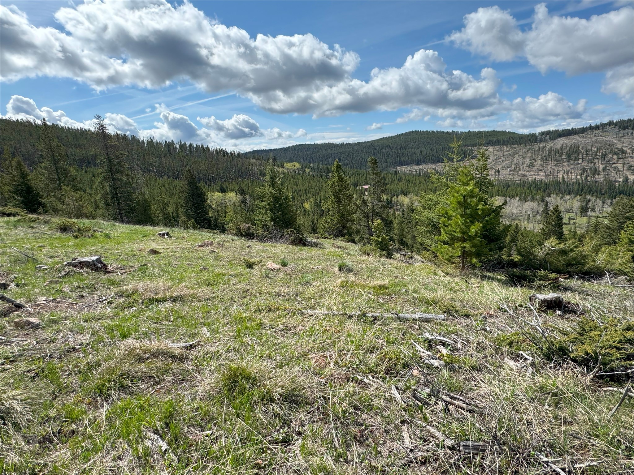 95 Little Moose Creek Trail Property Photo 23