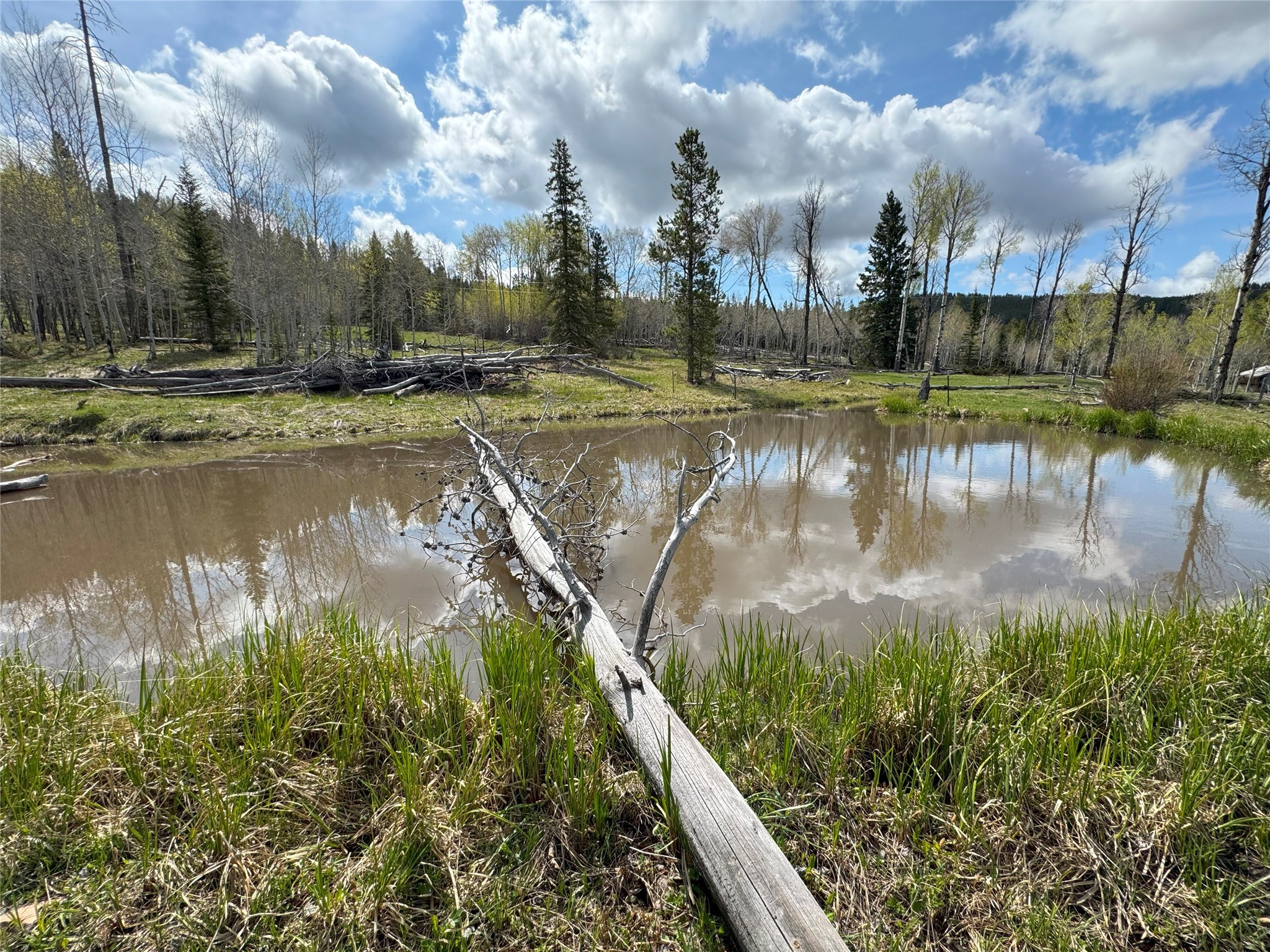95 Little Moose Creek Trail Property Photo 24