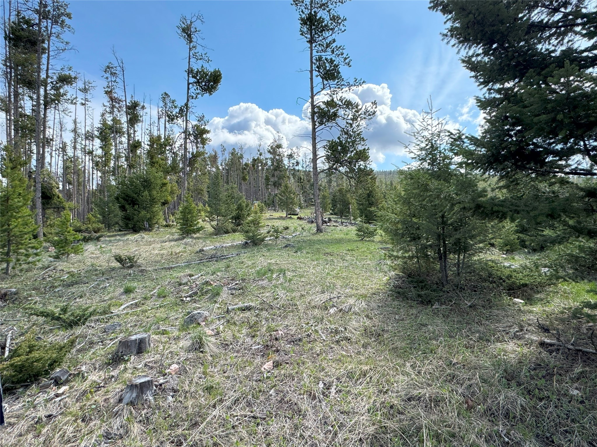 95 Little Moose Creek Trail Property Photo 25