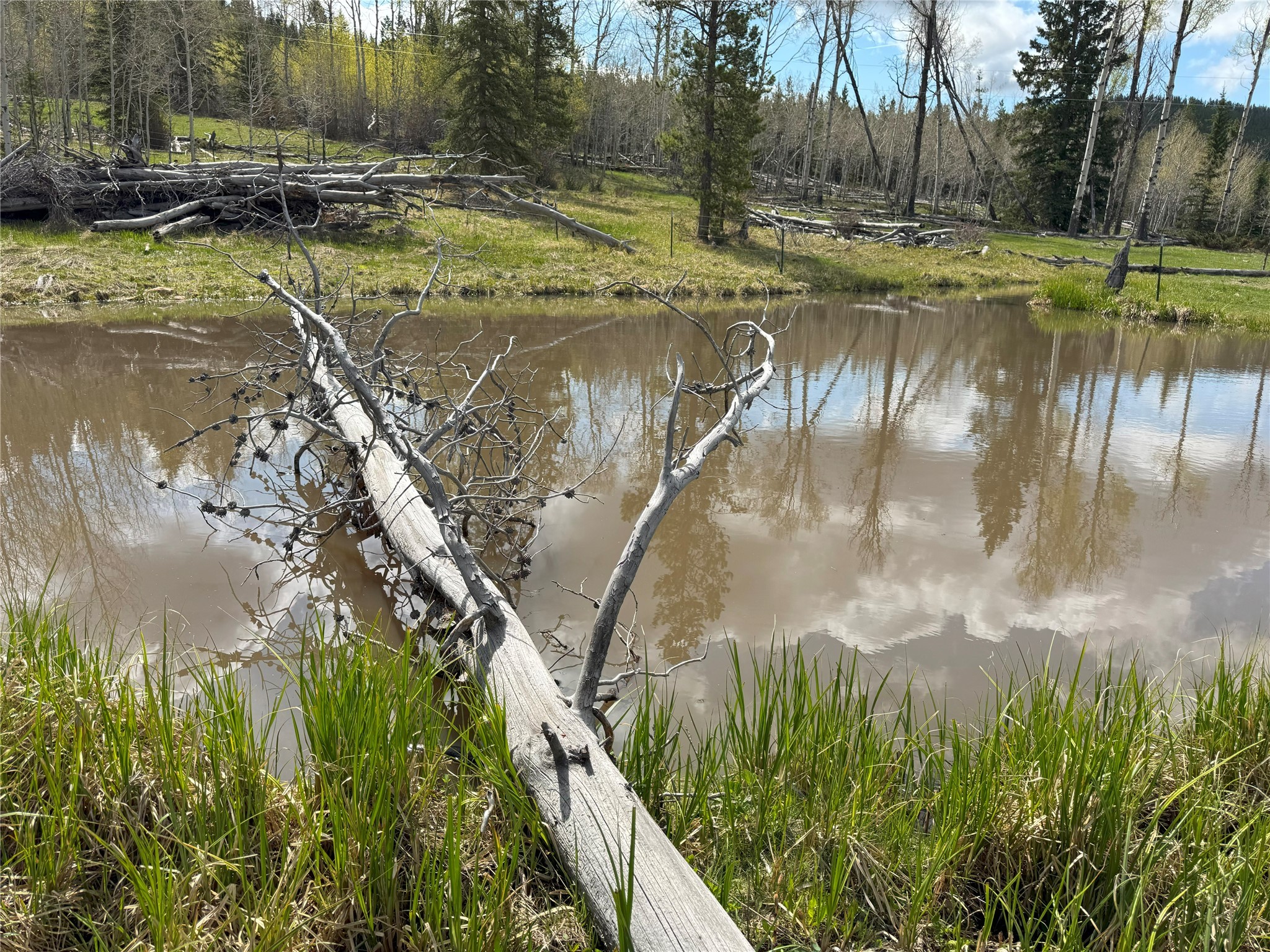 95 Little Moose Creek Trail Property Photo 26