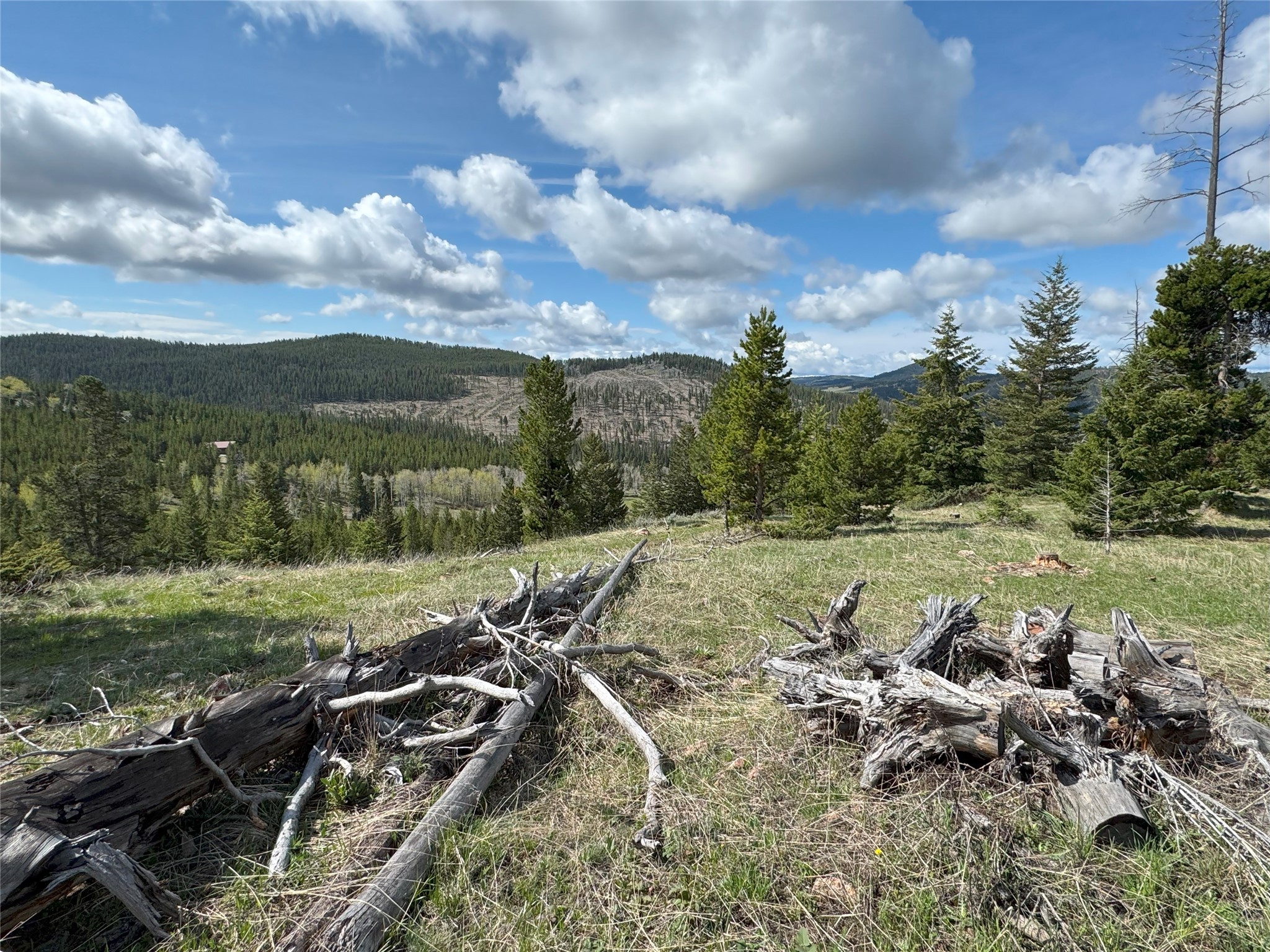 95 Little Moose Creek Trail Property Photo 28
