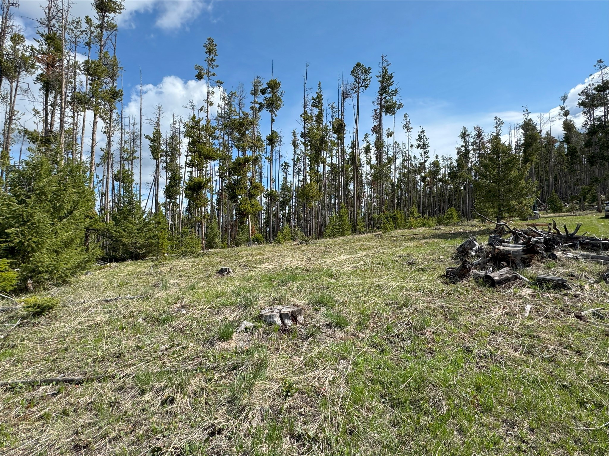 95 Little Moose Creek Trail Property Photo 29