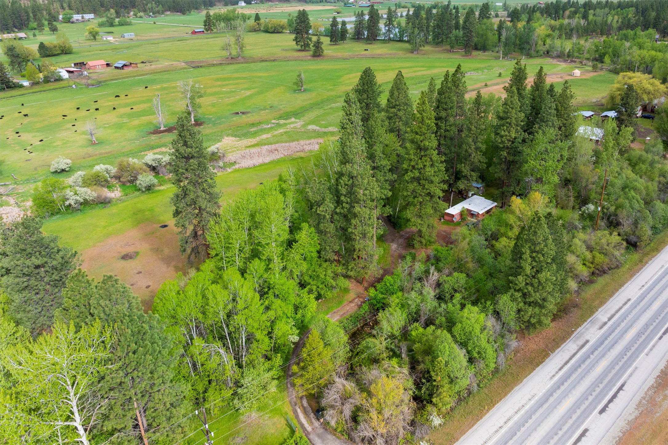 3063 Us Highway 93 Property Photo 6