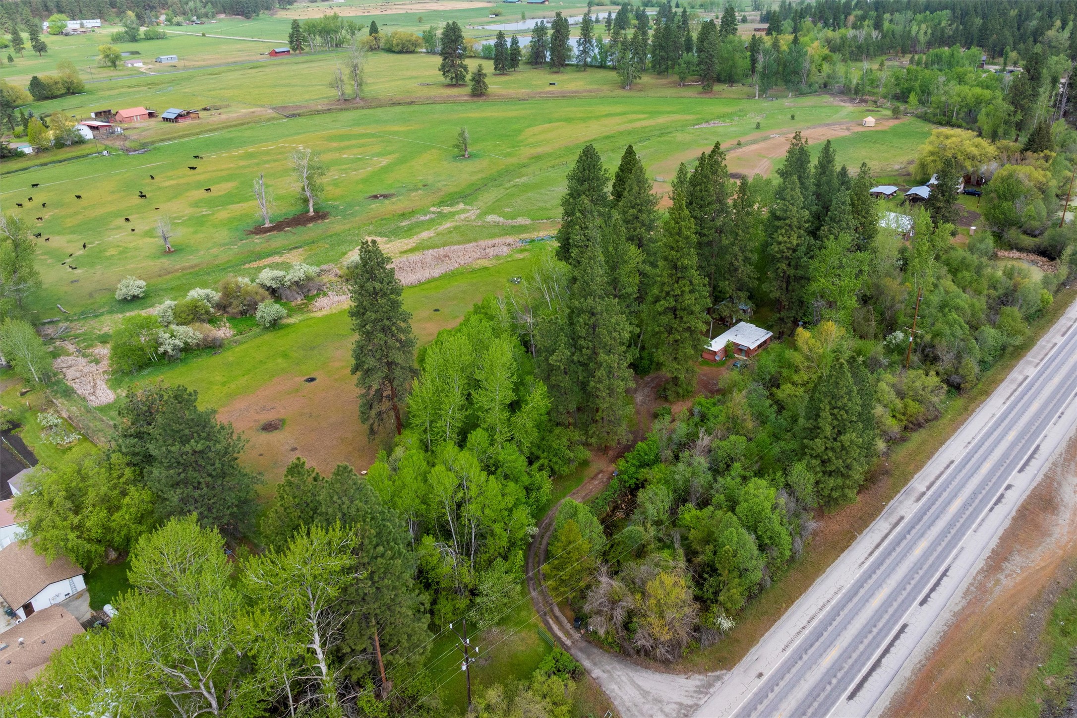 3063 Us Highway 93 Property Photo 11