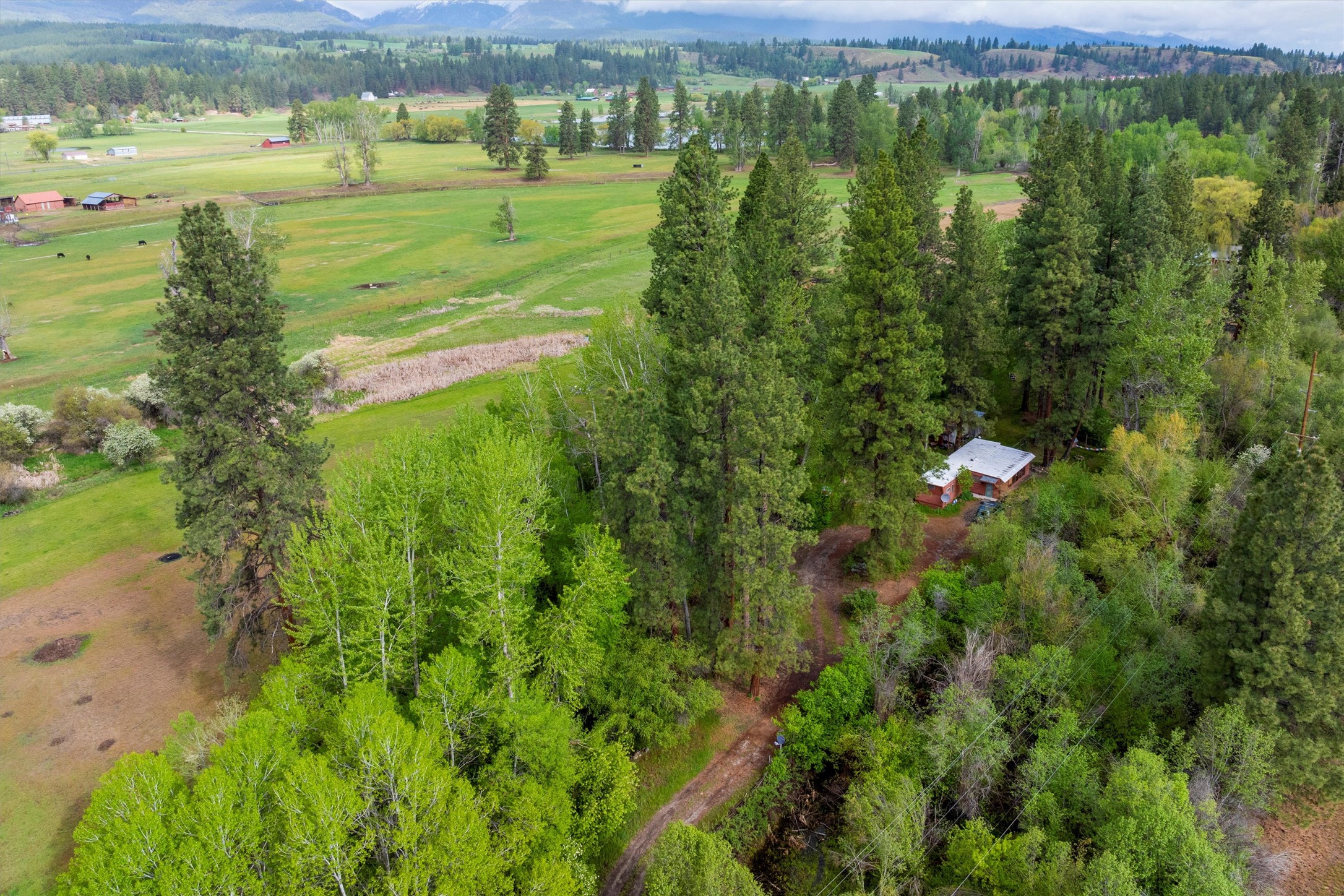 3063 Us Highway 93 Property Photo 12