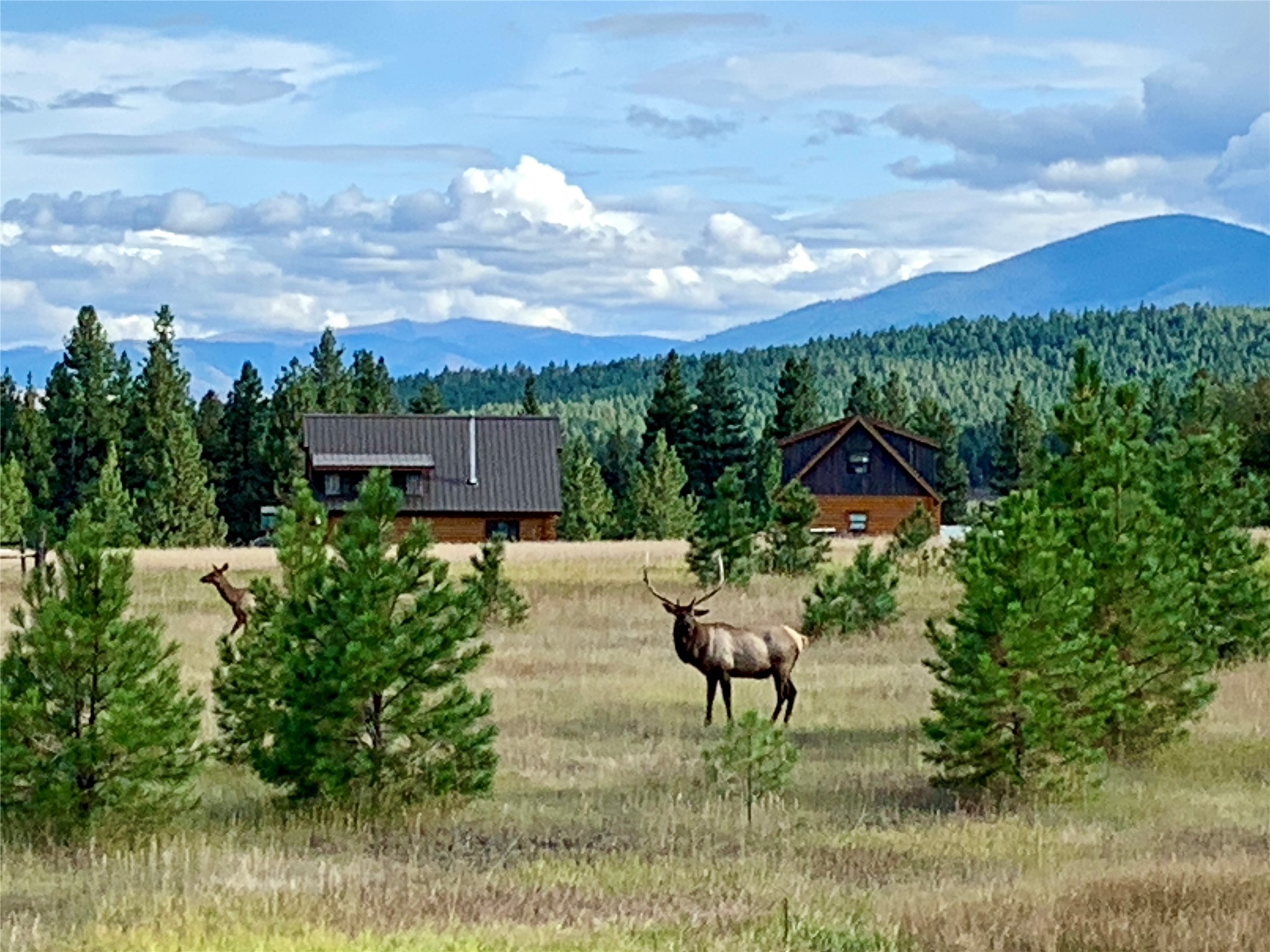 365 Tin Cup Road Property Photo 73