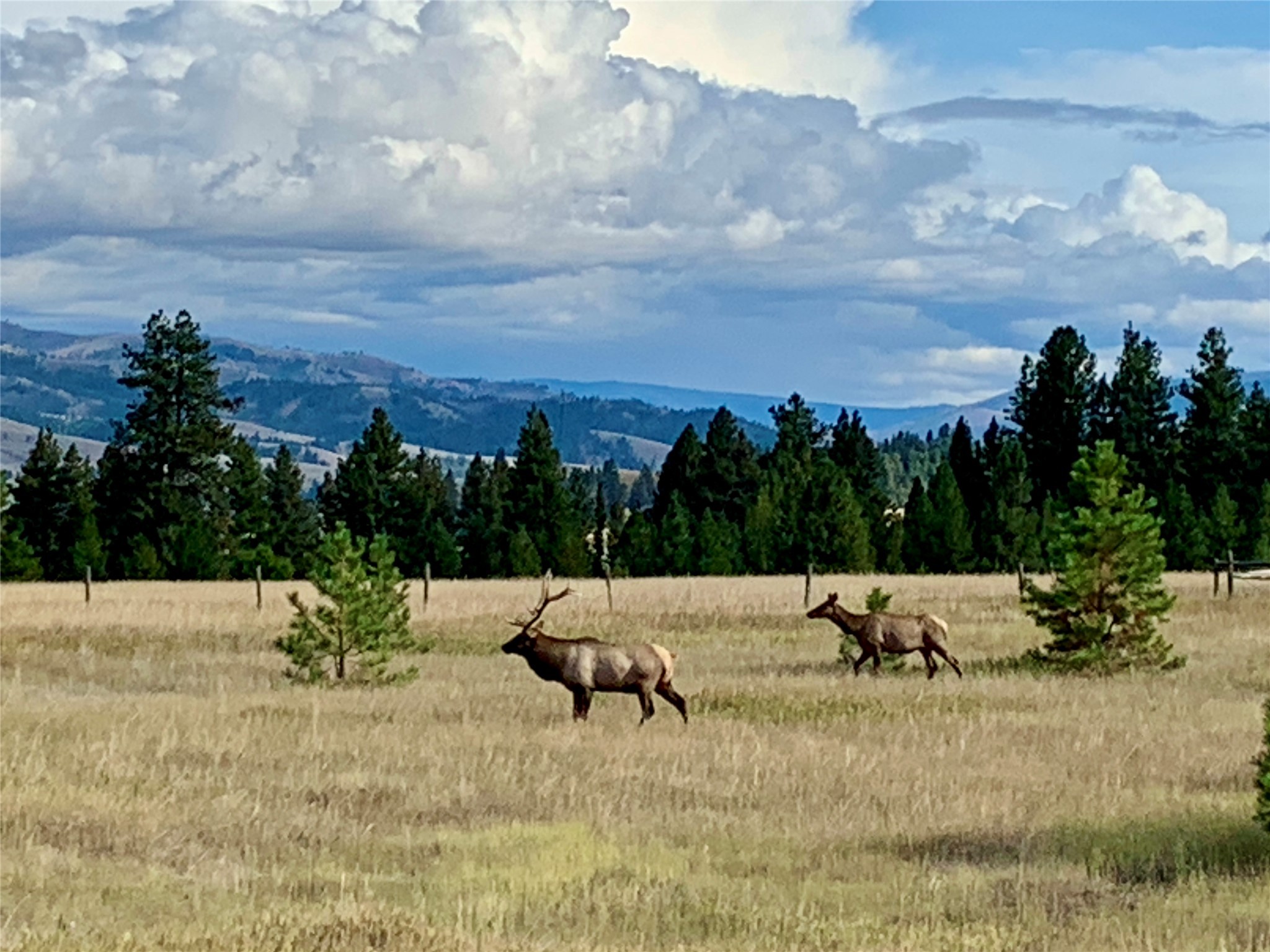 365 Tin Cup Road Property Photo 74