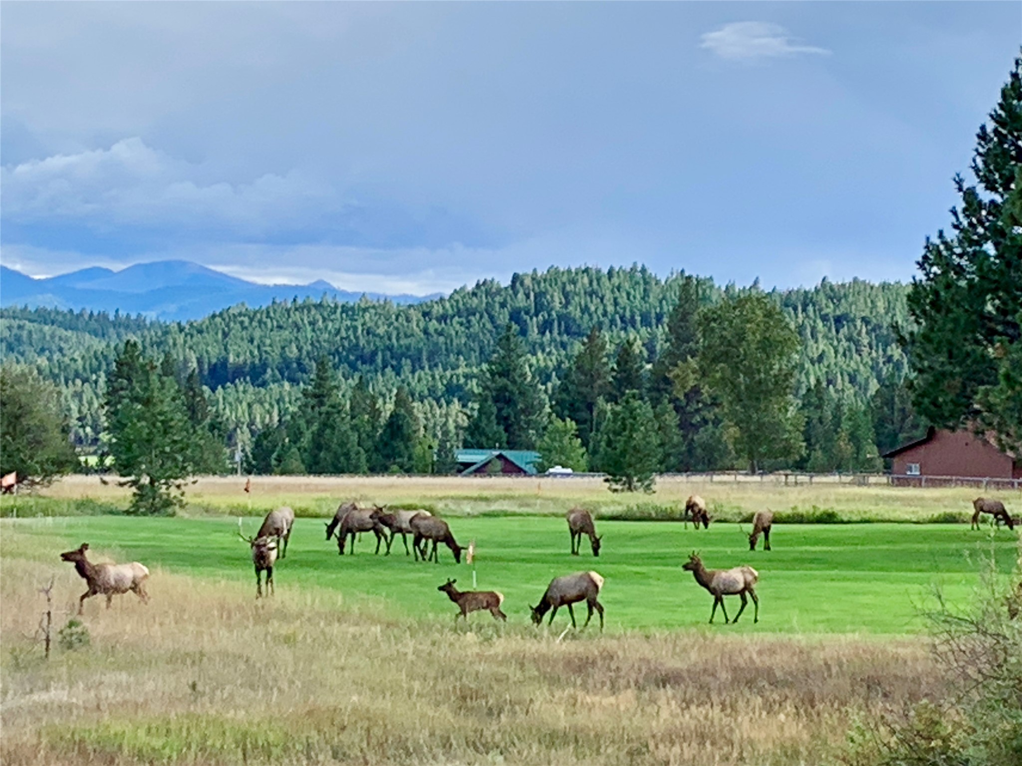 365 Tin Cup Road Property Photo 75