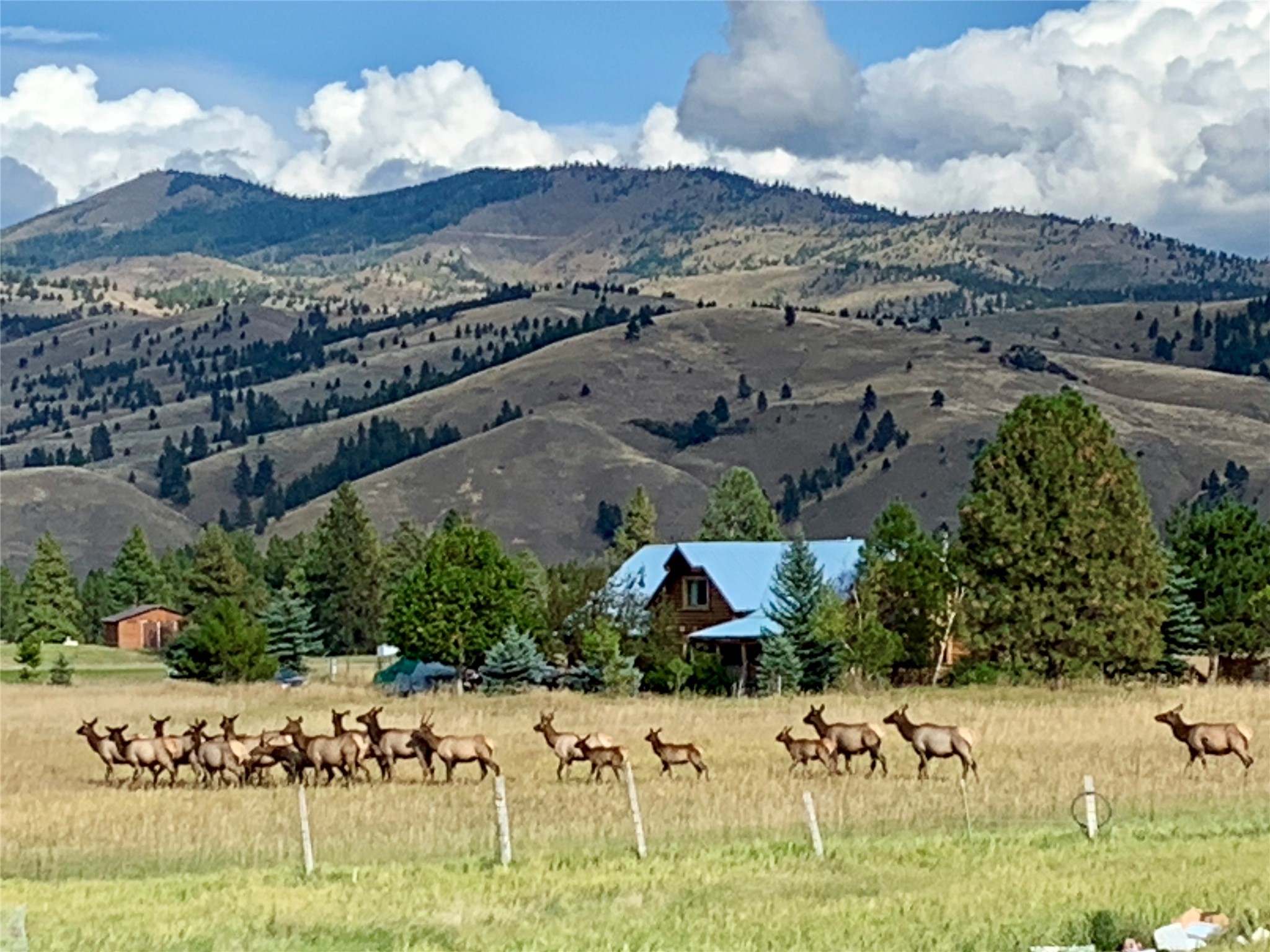 365 Tin Cup Road Property Photo 76