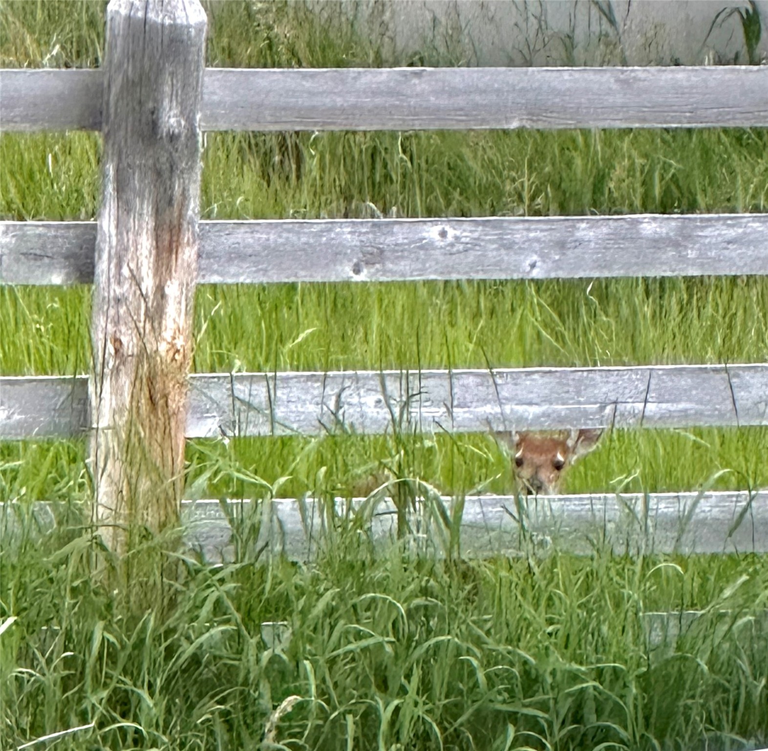 365 Tin Cup Road Property Photo 77