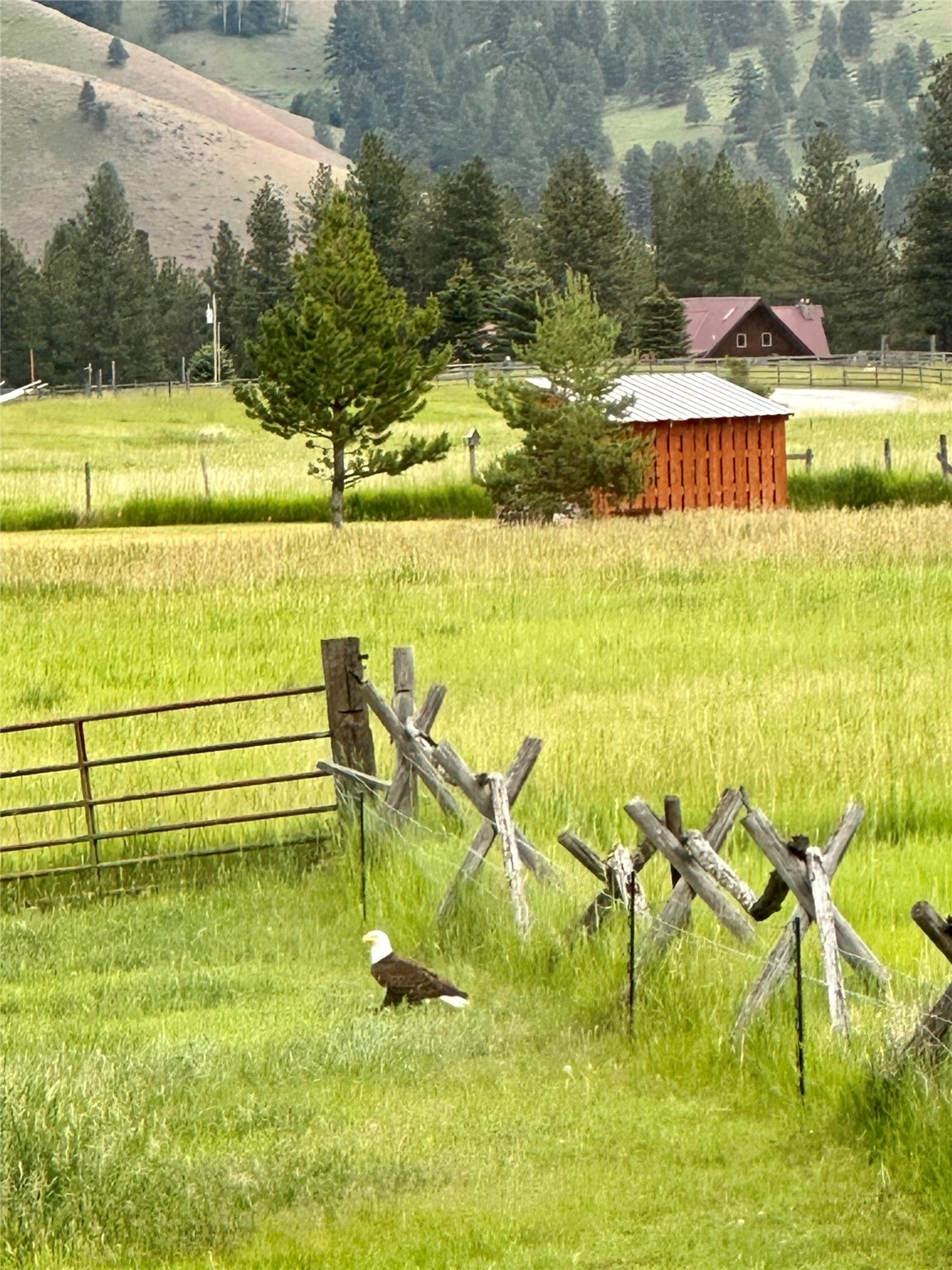 365 Tin Cup Road Property Photo 78