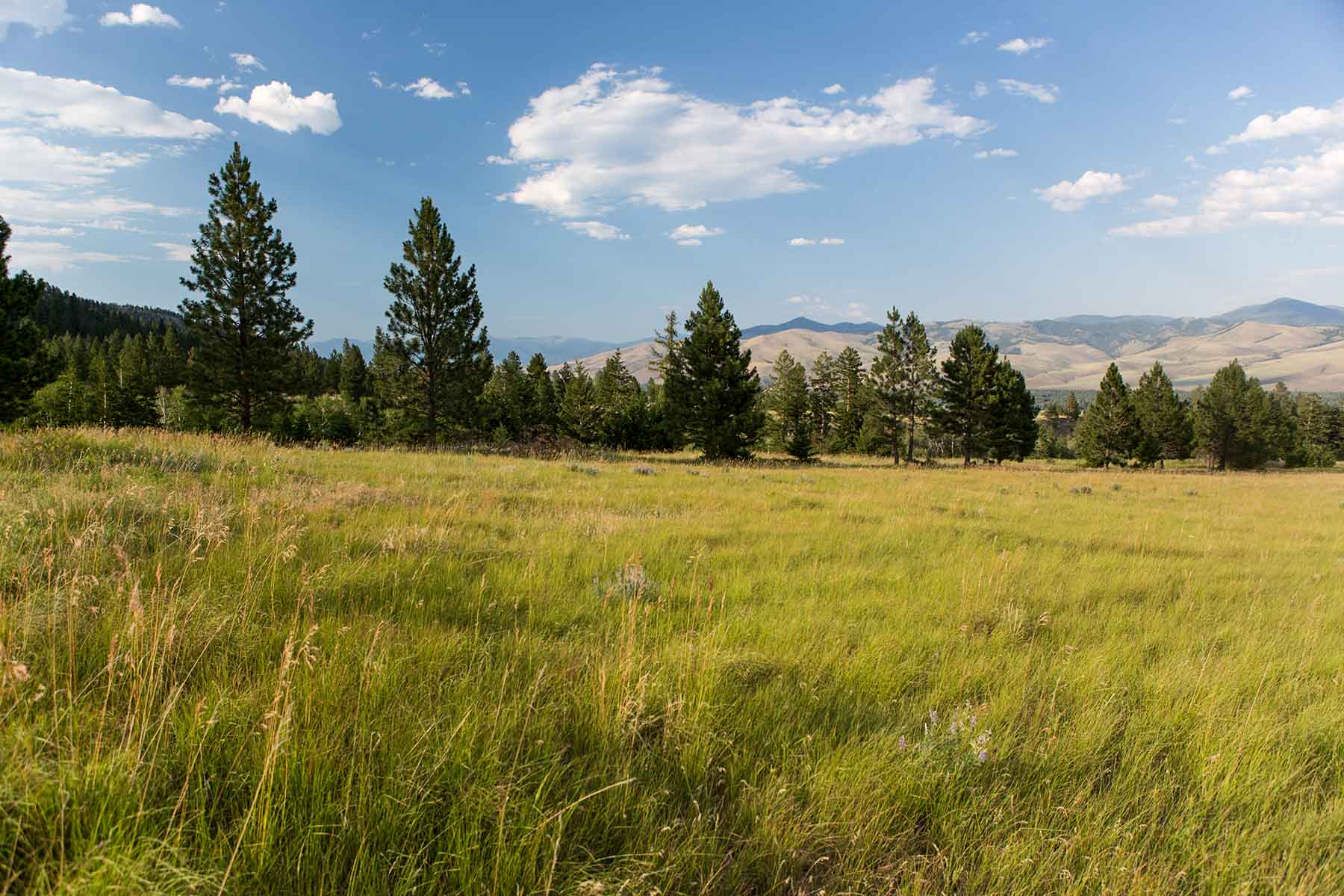 8337 Lamar Trail Property Photo 43