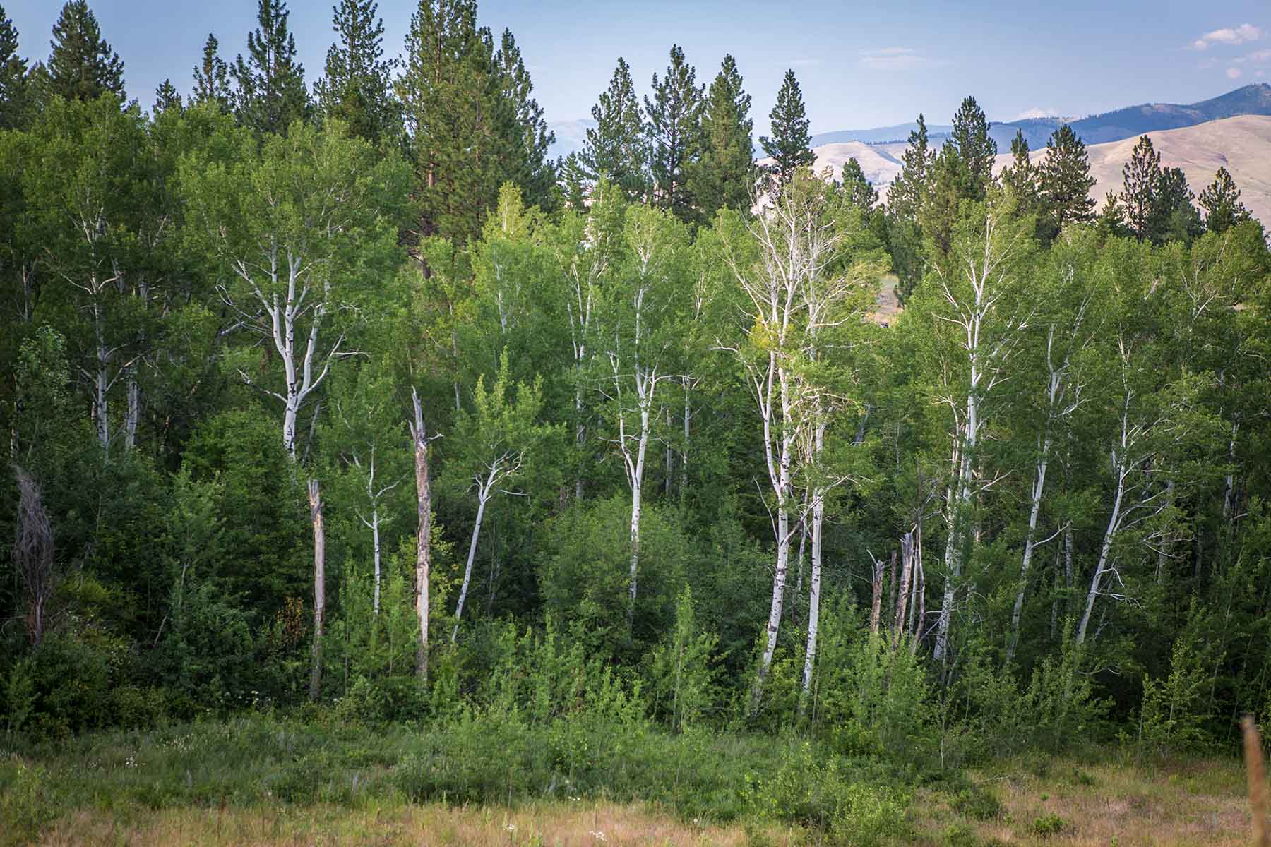 8337 Lamar Trail Property Photo 44
