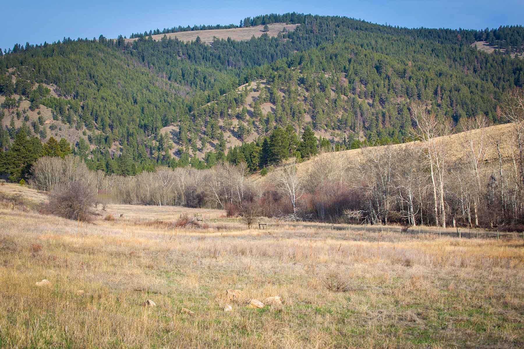 8337 Lamar Trail Property Photo 50