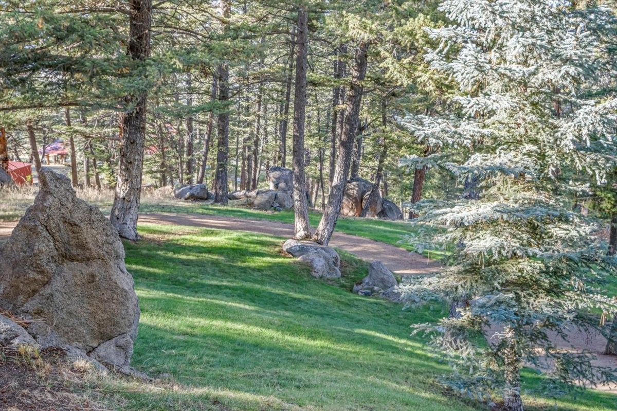 31 Bridle Bit Loop Property Photo 107