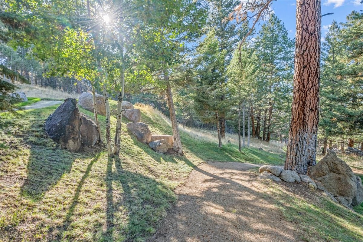 31 Bridle Bit Loop Property Photo 108
