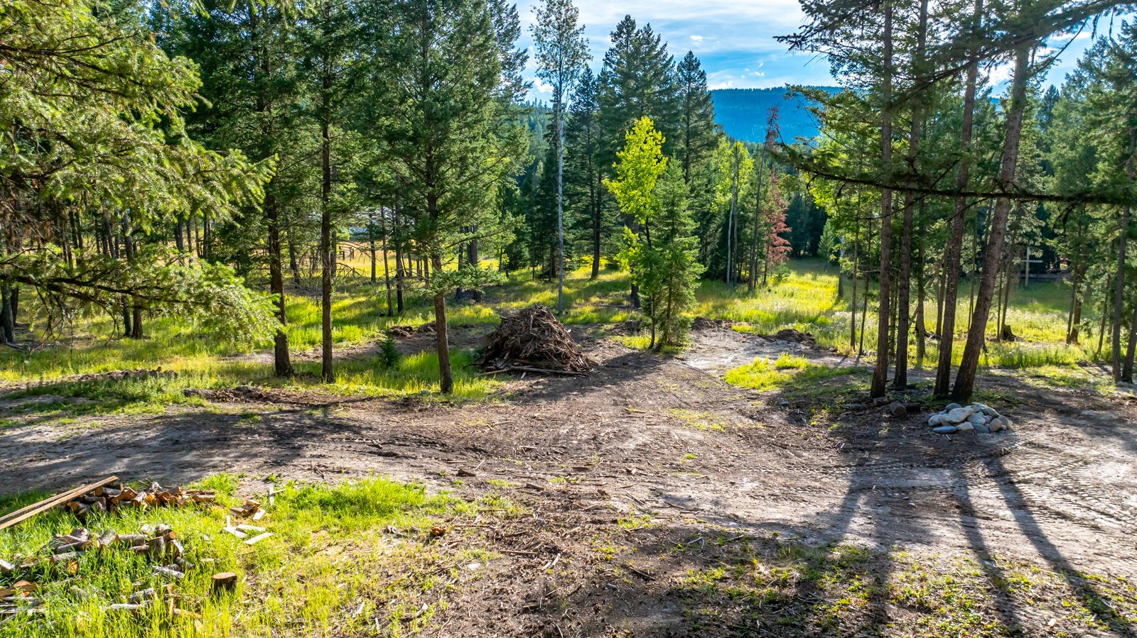 1782 Truman Creek Road Property Photo 6