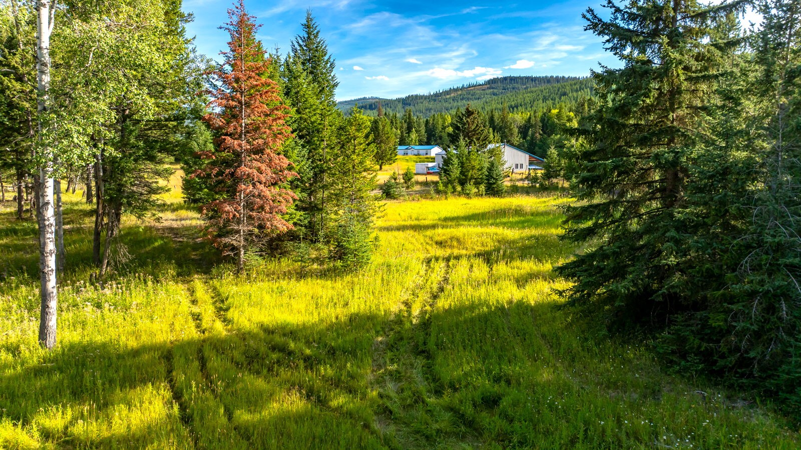 1782 Truman Creek Road Property Photo 27