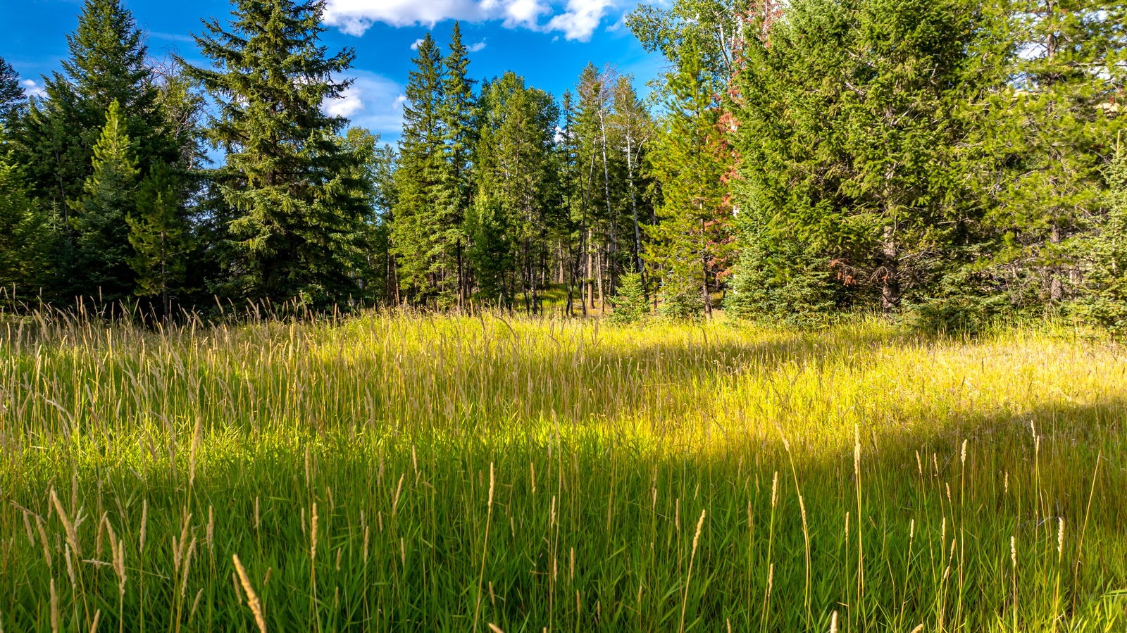 1782 Truman Creek Road Property Photo 28