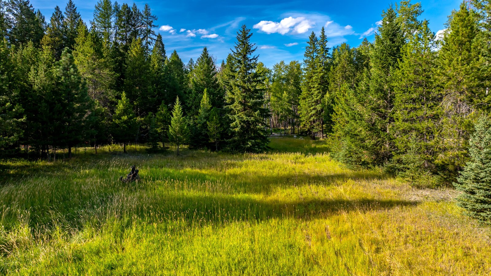 1782 Truman Creek Road Property Photo 29