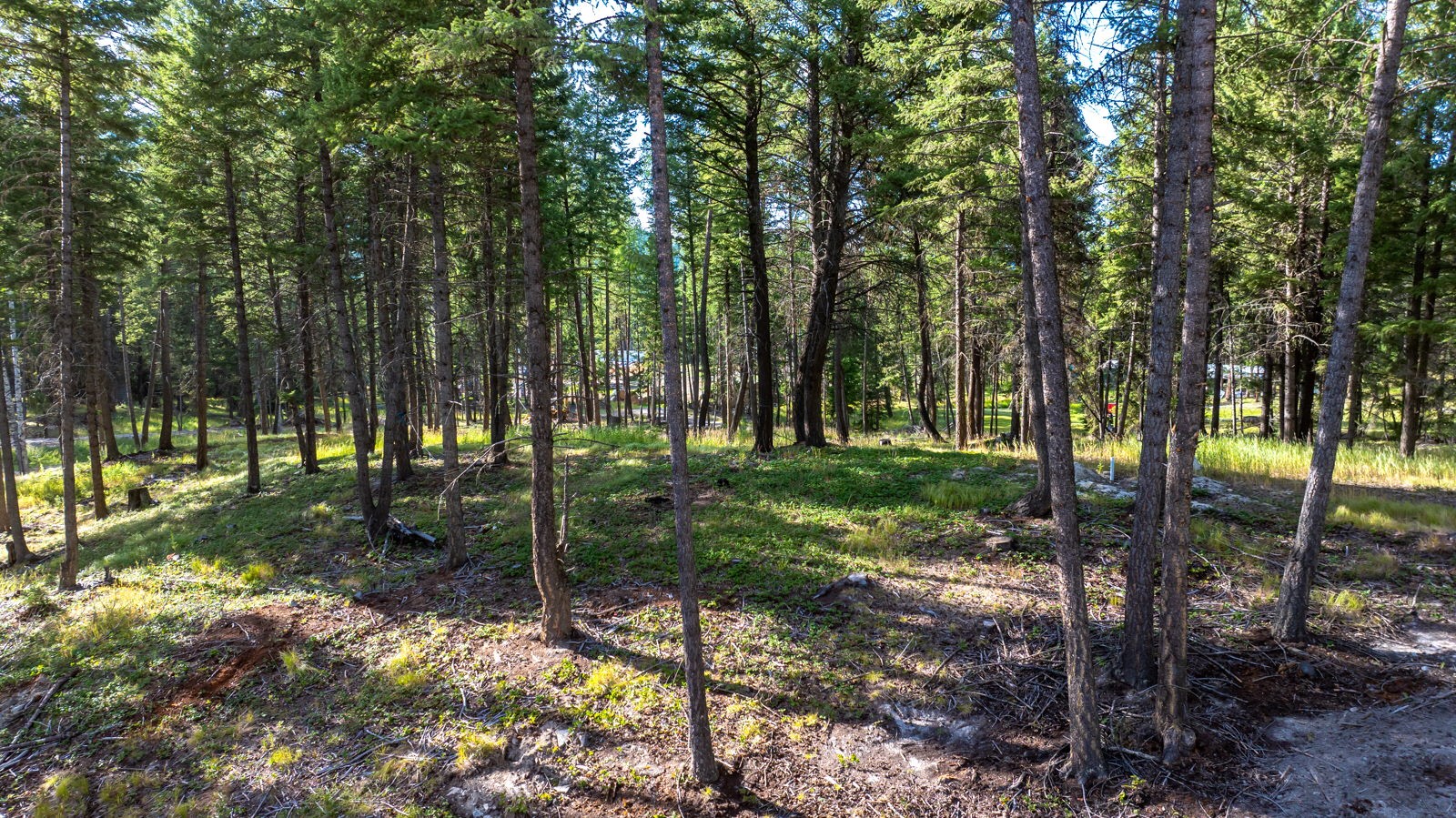 1782 Truman Creek Road Property Photo 31