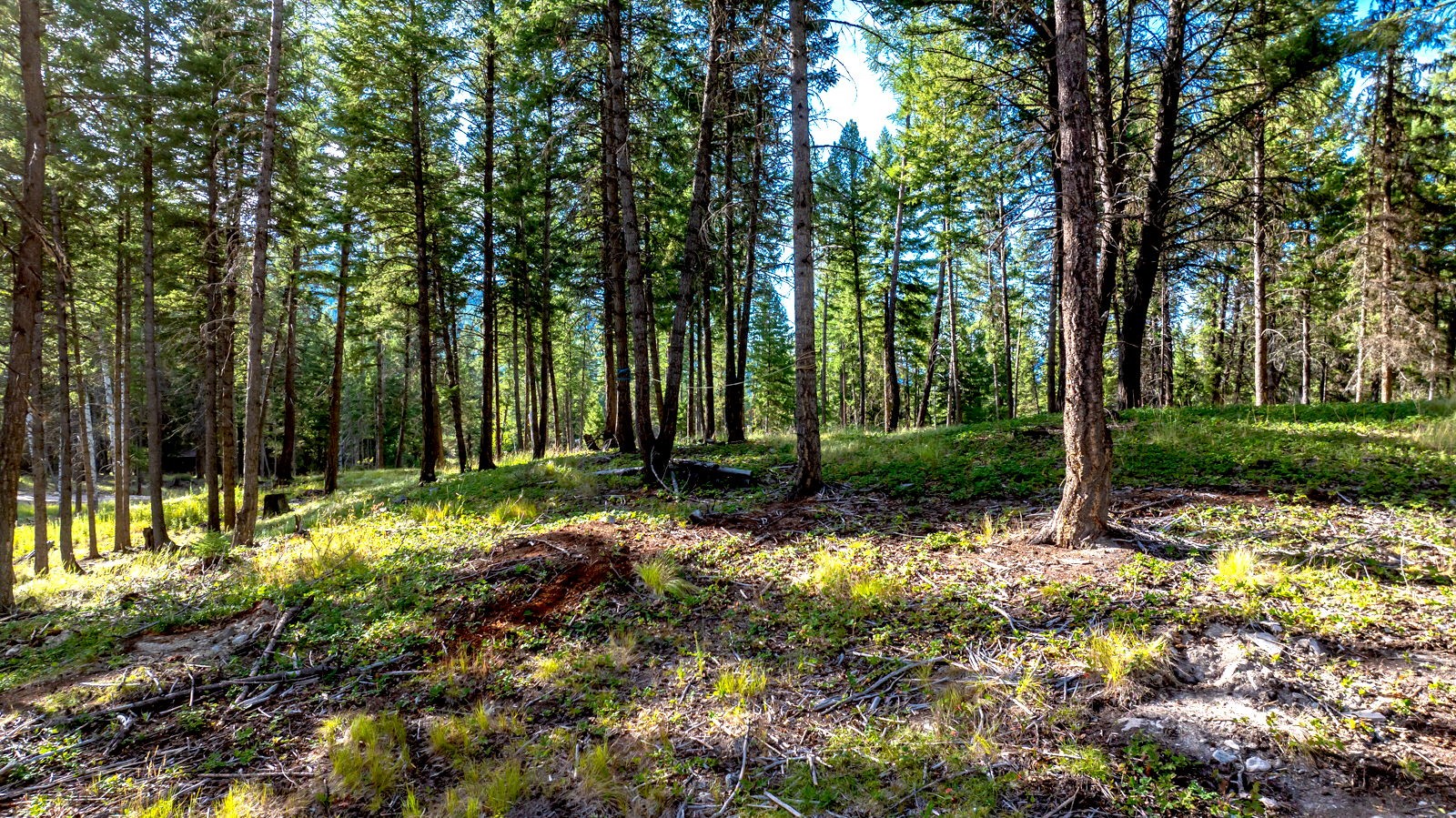 1782 Truman Creek Road Property Photo 32