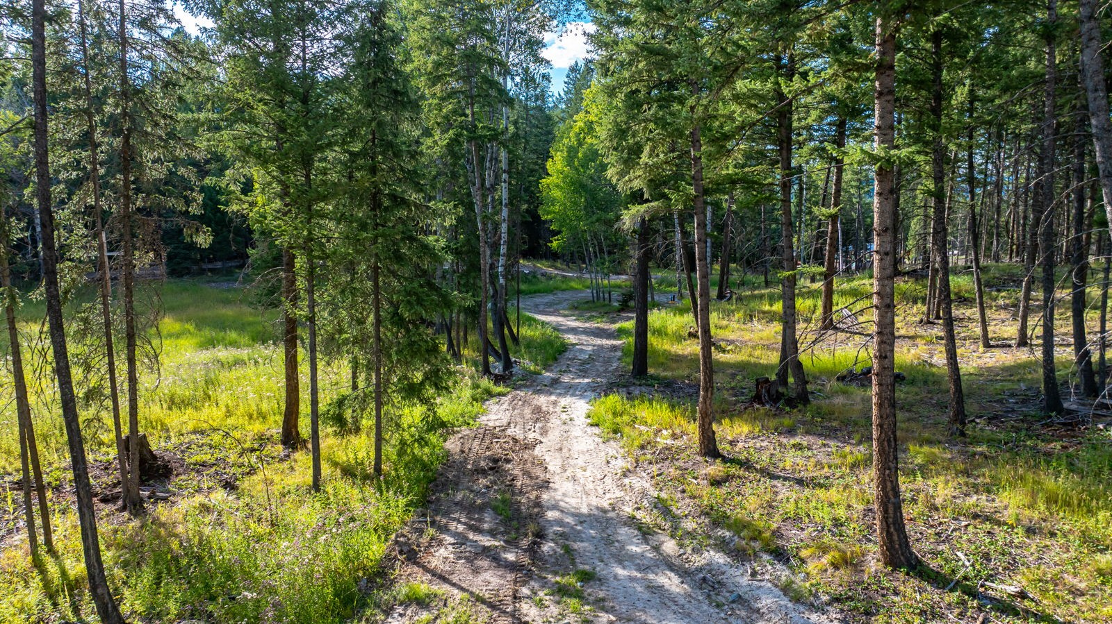 1782 Truman Creek Road Property Photo 35