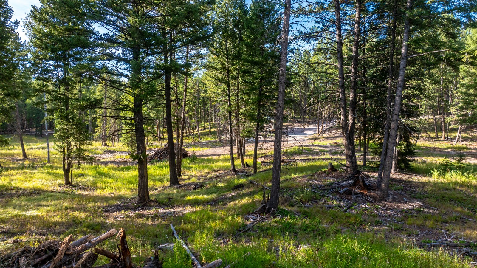 1782 Truman Creek Road Property Photo 42